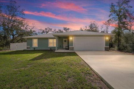 New construction Single-Family house 41 Fisher Way Run, Ocklawaha, FL 32179 - image