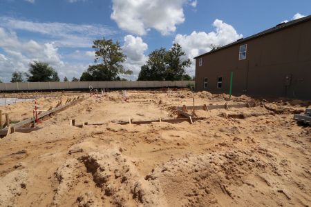 New construction Single-Family house 12168 Hilltop Farms Dr, Dade City, FL 33525 Malibu- photo 6 6