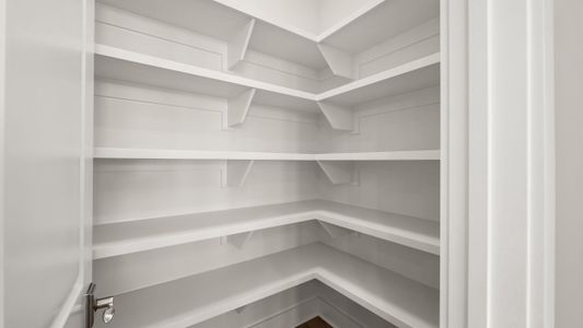 New construction Single-Family house 40 Dunns Circle Inlt, Inlet Beach, FL 32461 plan Orchid - image 14