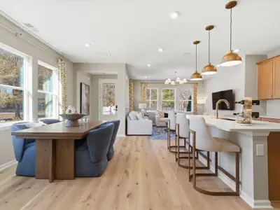 New construction Single-Family house 7211 Archimedes Ln, Charlotte, NC 28216 plan Fisher - image
