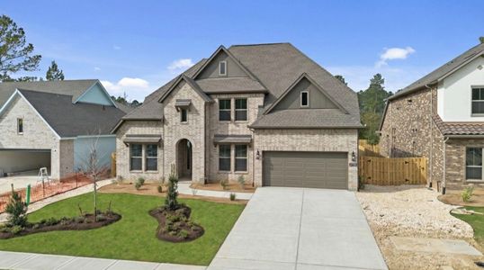 New construction Single-Family house 41738 Wendele Wy, Montgomery, TX 77316 plan Richwood - image