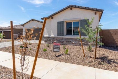 New construction Single-Family house 23942 N 171St Dr, Surprise, AZ 85387 Pomona- photo 29 29