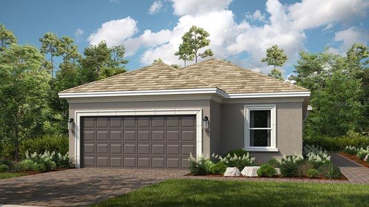 New construction Single-Family house 3816 Immacolata Wy, Wesley Chapel, FL 33543 plan Arezzo - image