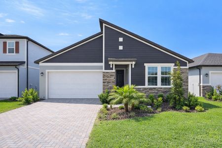 New construction Single-Family house 10086 Eaglecreek Lp, Land O' Lakes, FL 34638 plan Augusta - image