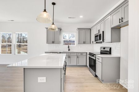 New construction Single-Family house 335 Pinewood Ln, Rock Hill, SC 29730 null- photo 13 13