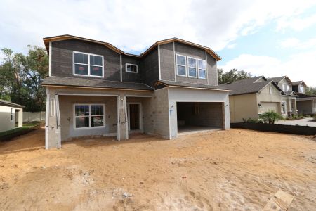 New construction Single-Family house 12008 Hilltop Farms Dr, Dade City, FL 33525 Alenza- photo 62 62