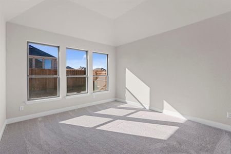 New construction Single-Family house 4529 Blue Mist Dr, Fort Worth, TX 76036 plan Delta - image 18