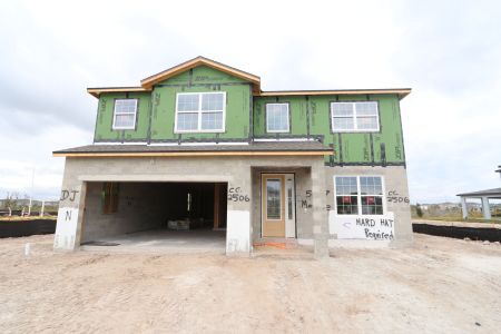 New construction Single-Family house 5707 Maydale Ave, Wesley Chapel, FL 33545 Sonoma II- photo 44 44