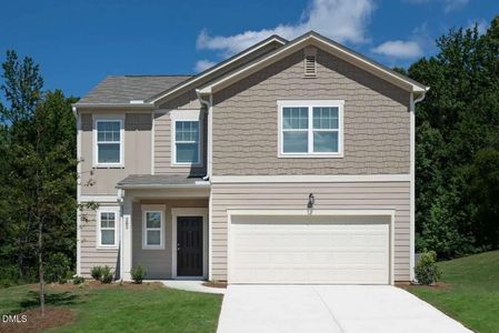New construction Single-Family house 1397 Pond Overlook Dr, Nashville, NC 27856 - image