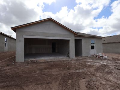 New construction Single-Family house 2944 Berry Coppice Pl, Wimauma, FL 33598 plan Sentinel - image