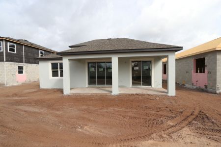 New construction Single-Family house 20264 Oriana Loop, Land O' Lakes, FL 34638 Santa Monica- photo 113 113