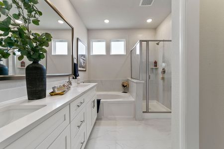 New construction Single-Family house 10618 Tall Timbers Trl, Frisco, TX 75035 plan Symmetry D373 - image 14