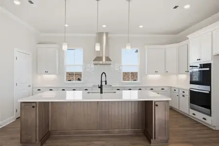 New construction Single-Family house 7509 Shoal Mill Pt, Unit 43, Fairview, TN 37062 plan Davenport - image 6