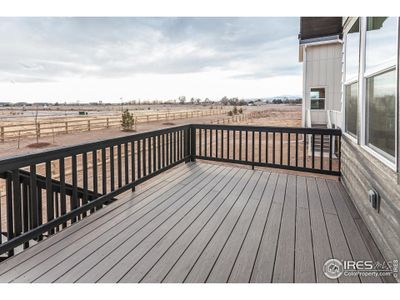 New construction Single-Family house 6037 Saddle Horn Dr, Timnath, CO 80547 null- photo 32 32