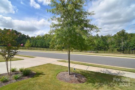 New construction Single-Family house 3516 Marchers Trace Drive, Mint Hill, NC 28227 - photo 28 28