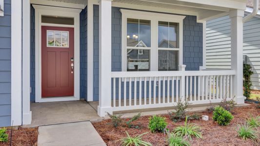 New construction Single-Family house 157 Collared Dove Ct, Summerville, SC 29483 plan Cypress - image