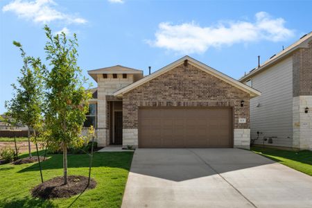 New construction Single-Family house 113 Prairie Falls Dr, Hutto, TX 78634 plan Brodie - image