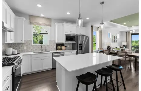 New construction Single-Family house 2242 Pinyon Dr, New Braunfels, TX 78132 plan Contour - image