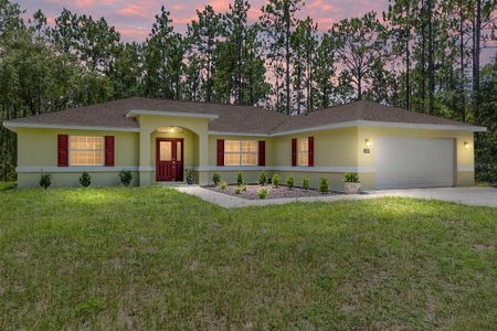 New construction Single-Family house 13160 Sw 89Th St, Dunnellon, FL 34432 - image 20
