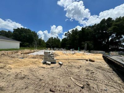 New construction Single-Family house 5938 Nw 8Th Pl, Ocala, FL 34482 null- photo 2 2