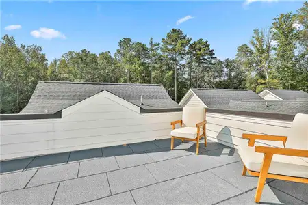 New construction Single-Family house 940 Laurel Brooke Ave, Peachtree City, GA 30269 - image