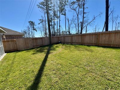 Backyard has two side access gates.