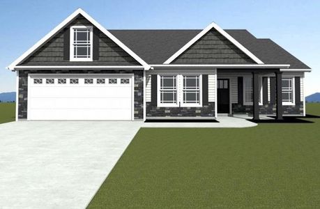New construction Single-Family house 1320 Kildary Springs Rd, Inman, SC 29349 - image