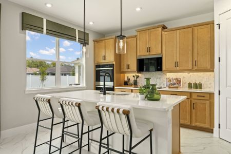 New construction Single-Family house 9623 Peace Dr, Orlando, FL 32832 plan Shenandoah - image 10