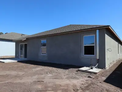 New construction Single-Family house 2917 Berry Coppice Pl, Wimauma, FL 33598 plan Elmhurst - image