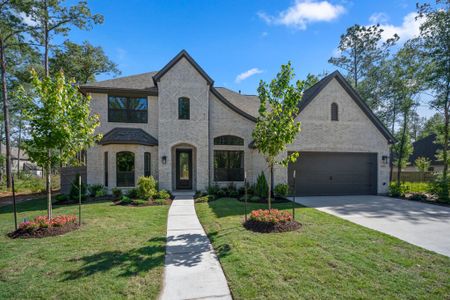 New construction Single-Family house 107 Adoration Woods Court, Willis, TX 77318 - photo 0