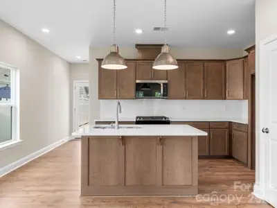 New construction Townhouse house 137 Cherry Springs Ln, Unit 12-E, Asheville, NC 28804 - image 5
