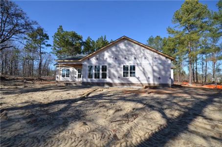 New construction Single-Family house 302 D L Phillips Ln, Broadway, NC 27505 - image