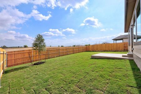 New construction Single-Family house 106 Divisadero Dr, Hutto, TX 78634 plan Trinity - image 4
