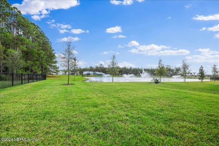 New construction Single-Family house 122 Sage Hen Dr, St. Augustine, FL 32095 null- photo 19 19