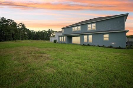 New construction Single-Family house 33857 Landsman Loop, Wesley Chapel, FL 33543 null- photo 59 59