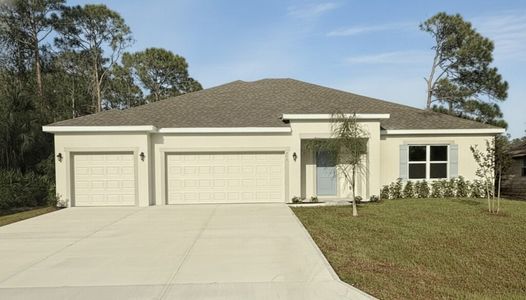 New construction Single-Family house 271 Medea Ave Nw, Palm Bay, FL 32907 plan Naples - image
