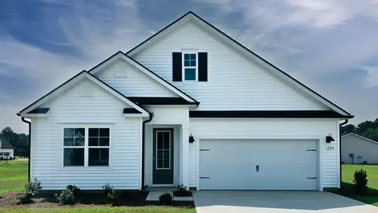 New construction Single-Family house 204 Squirrel Run Dr, Conway, SC 29527 plan Darby - image