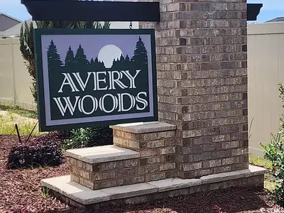 New construction Single-Family house 1065 Jase Dr, Unit 87, Longs, SC 29568 plan Benton II - image