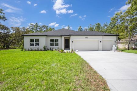 New construction Single-Family house 13 Black Willow St, Homosassa, FL 34446 - image