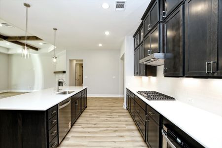 Burnet Hilltop Estates by Giddens Homes in Cedar Park - image 8