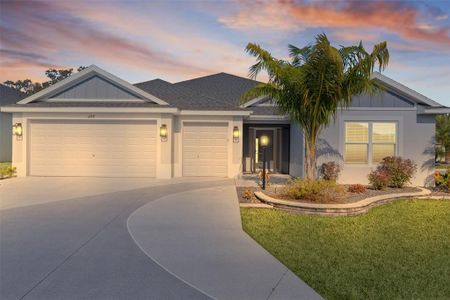 New construction Single-Family house 1177 Elkington Rd, The Villages, FL 34762 - image
