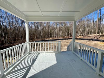 New construction Single-Family house 262 Grand Griffon Wy, Lillington, NC 27546 262 Grand Griffon Way- photo 73 73