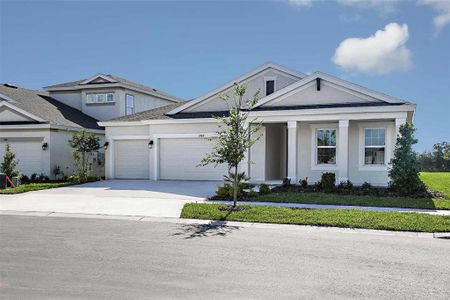 New construction Single-Family house 5373 Everlong Drive, Apollo Beach, FL 33572 - photo 0