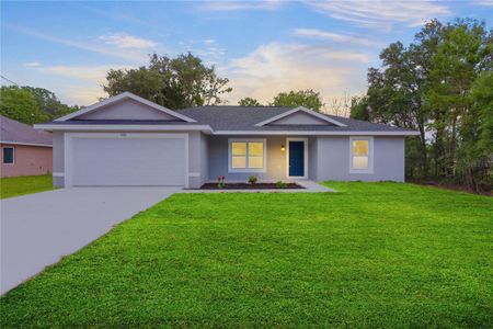 New construction Single-Family house 255 Malauka Road, Ocklawaha, FL 32179 - photo 0