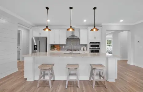 New construction Single-Family house 3611 Zydeco Loop, Green Cove Spgs, Green Cove Springs, FL 32043 plan Ashby - image