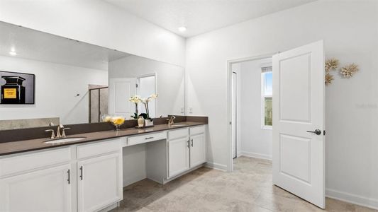 Bridgewalk: Executive Collection 12