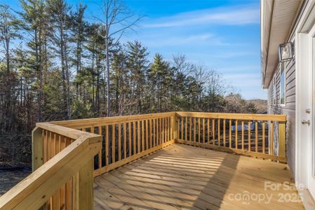 New construction Single-Family house 209 Walnut Branch Rd, Weaverville, NC 28787 - image