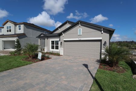 New construction Single-Family house 31229 Denham Ridge Ln, Wesley Chapel, FL 33545 Newport II- photo 119 119