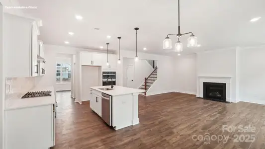 New construction Single-Family house 238 Miramar Dr, York, SC 29745 plan Norman - image