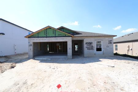 New construction Single-Family house 12227 Hilltop Farms Dr, Dade City, FL 33525 Sentinel- photo 24 24